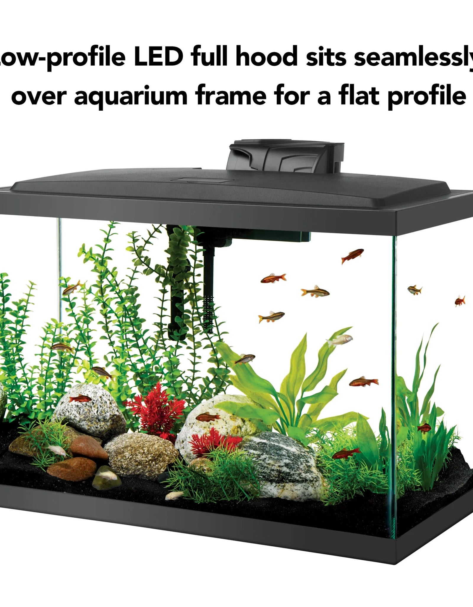 Aquarium Fish Tank Starter Kit with LED Lighting 20 High