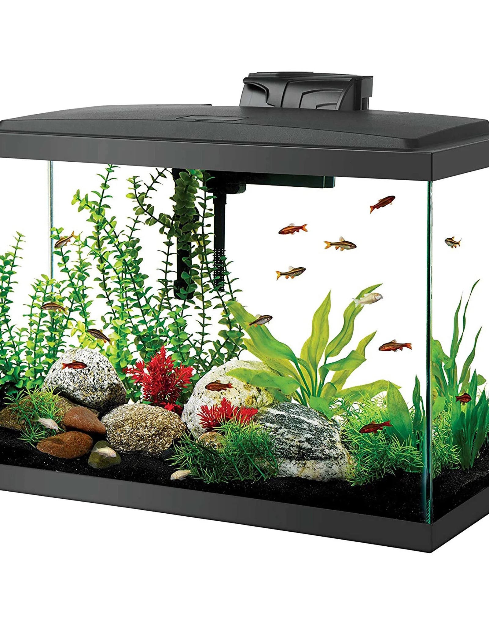 Aquarium Fish Tank Starter Kit with LED Lighting 20 High