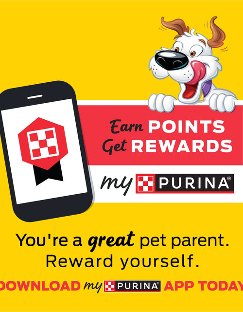 Load image into Gallery viewer, Purina  Strips Dog Treats with Real Bacon &amp; Peanut Butter Flavors Tender Chews, 40 Oz Pouch
