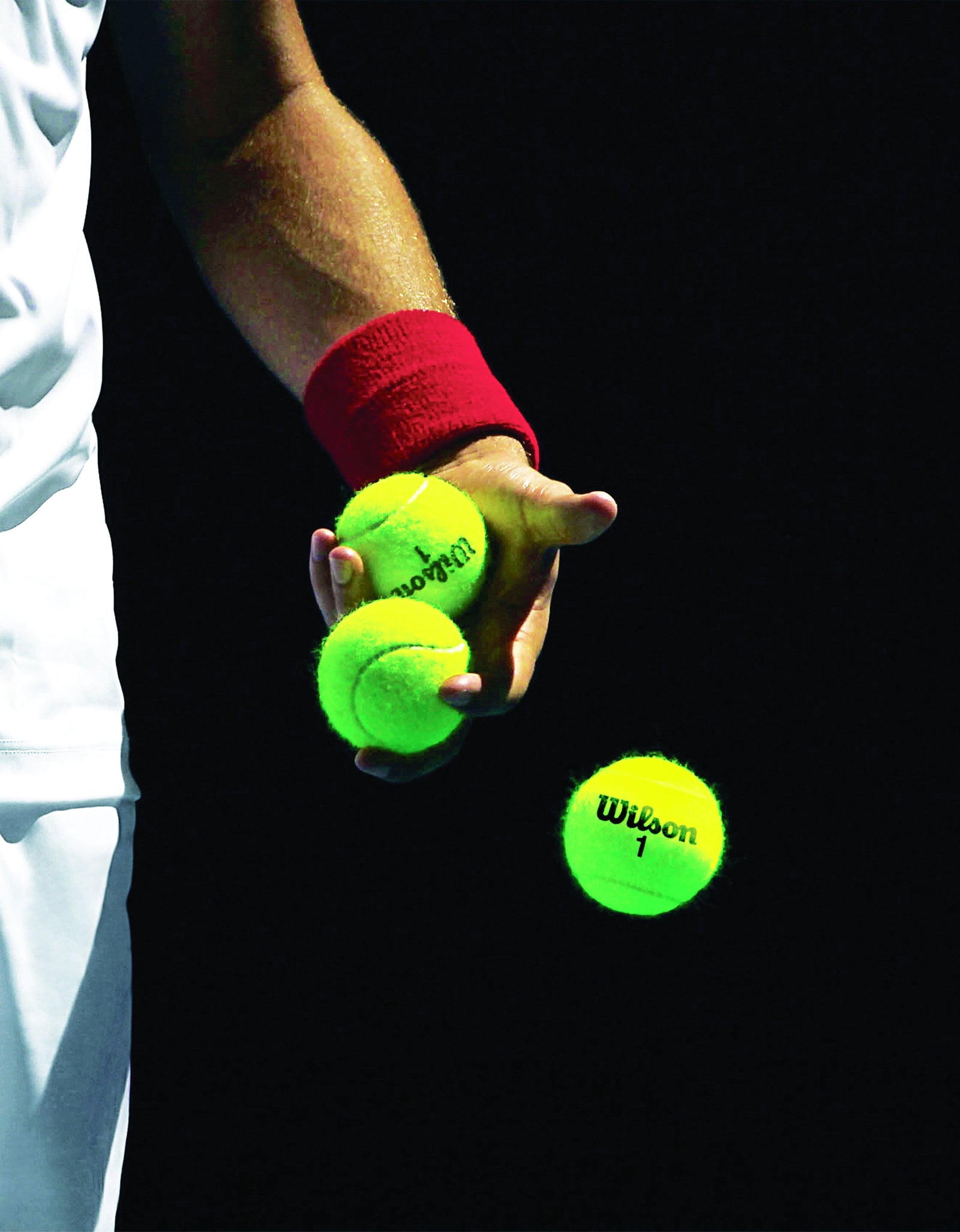 Championship Extra Duty Tennis Ball - 3 Ball Can