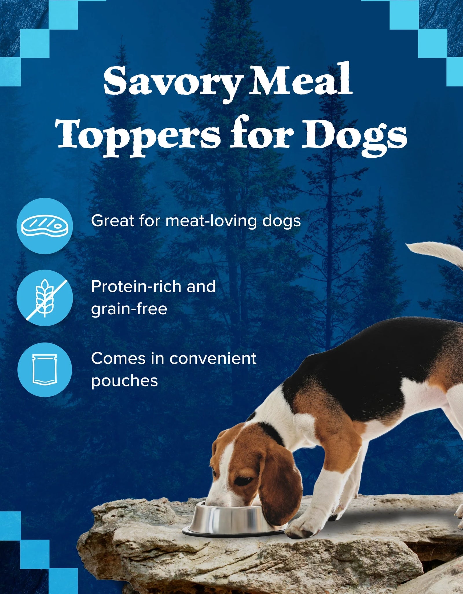 (4 Pack)  Wilderness Wild Cuts Wet Dog Food Toppers, Chicken & Beef, 3-Oz. (12 Count)