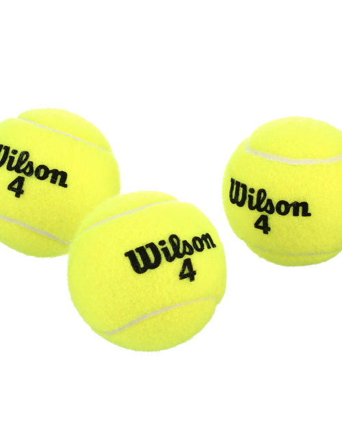 Load image into Gallery viewer, Championship Extra Duty Tennis Ball - 3 Ball Can
